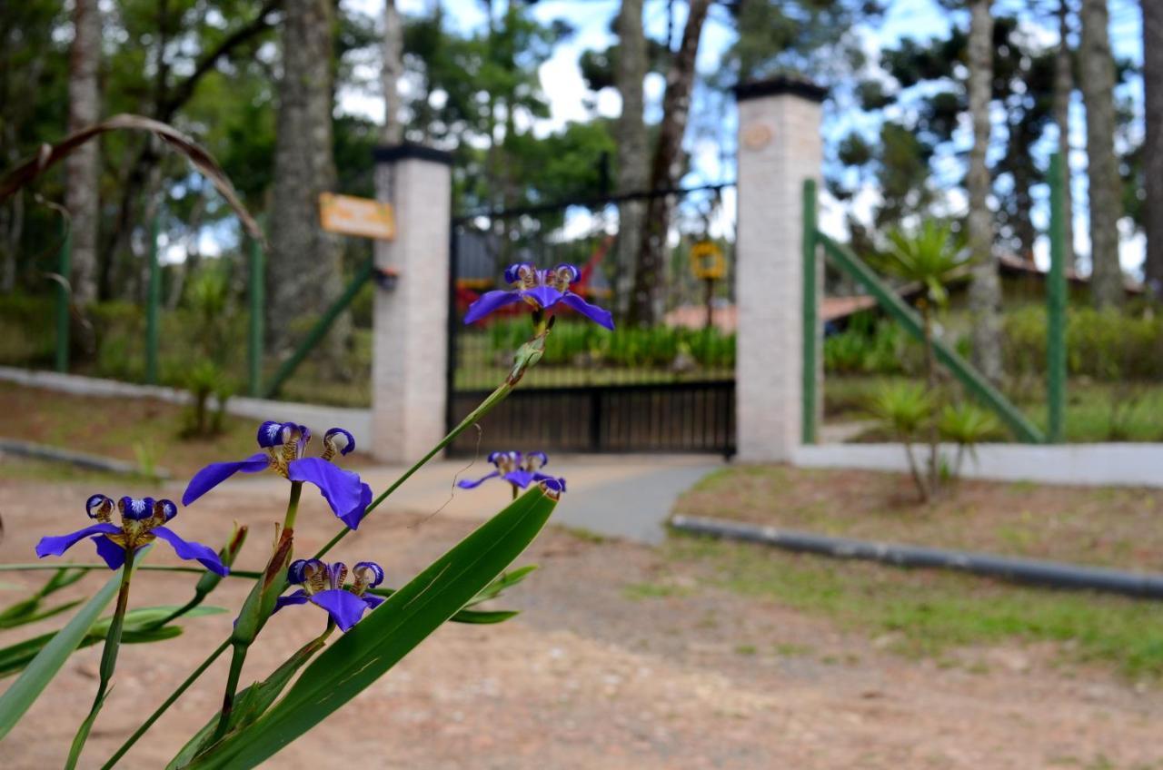 Pousada Paraiso Das Araucarias 호텔 몬테베르데 외부 사진