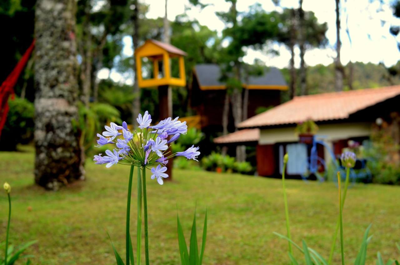 Pousada Paraiso Das Araucarias 호텔 몬테베르데 외부 사진